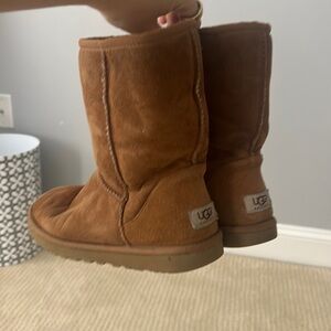 Chestnut Uggs